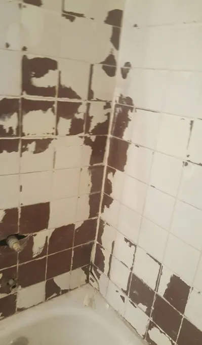 Slide of Alfred Construction & Renovation