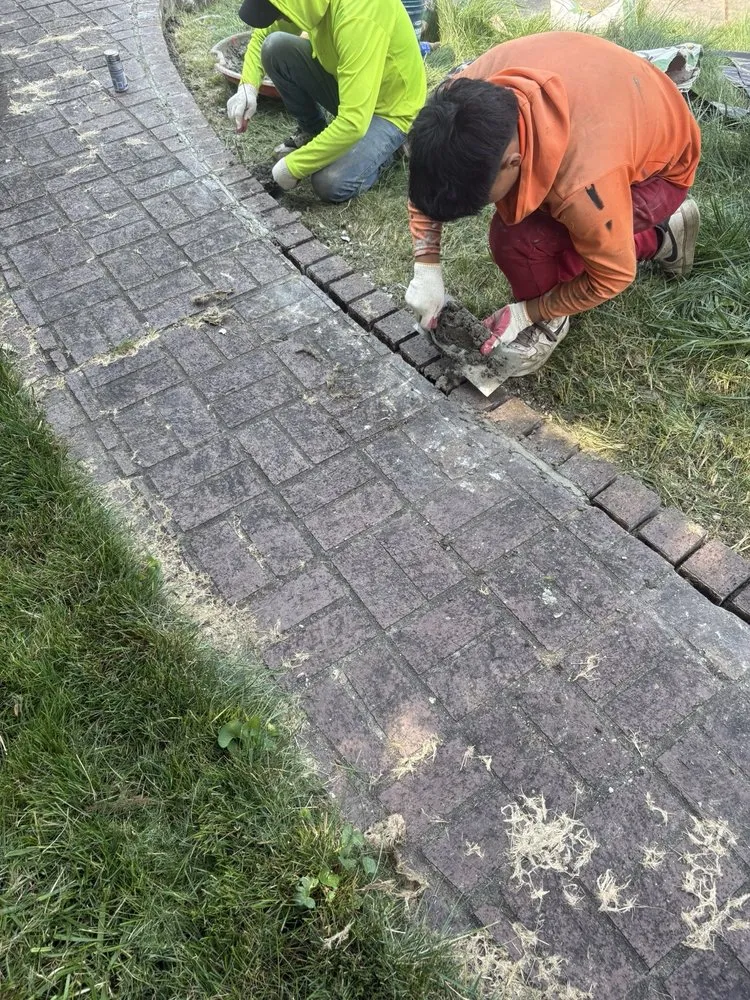 Slide of Ali Baba Services