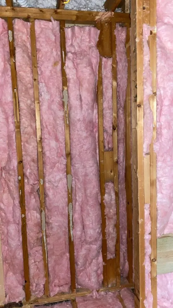 Slide of AliceCarl Construction