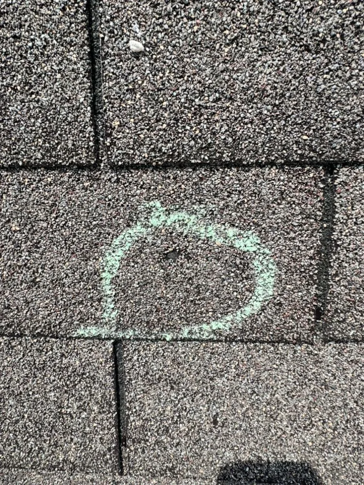 Slide of Alien Roofing