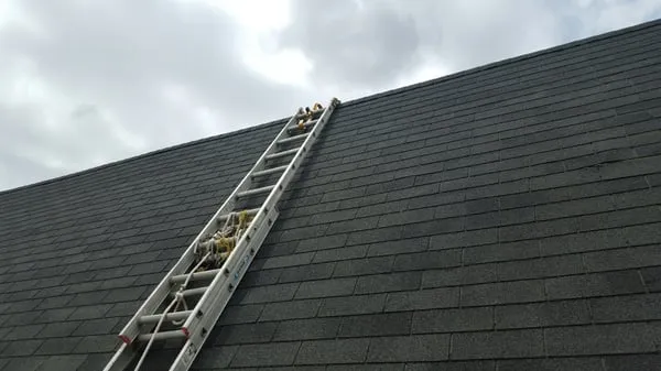 All - Rite Painting Pressure Wash Logo