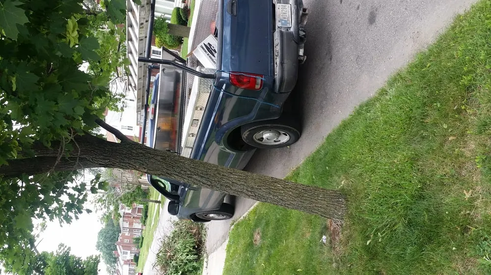 Slide of All About Chimney's, Gutters, and Roofing