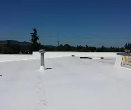 Slide of All About Roofs