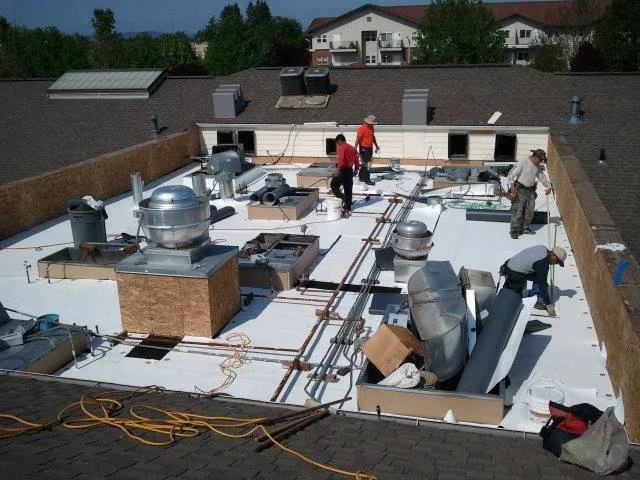 Slide of All About Roofs