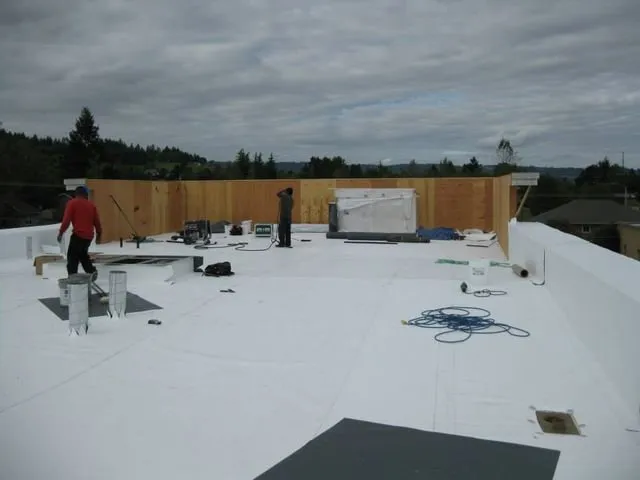 Slide of All About Roofs