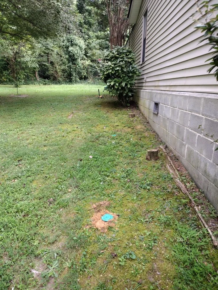 Slide of All above pest solutions