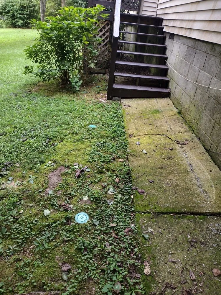 Slide of All above pest solutions