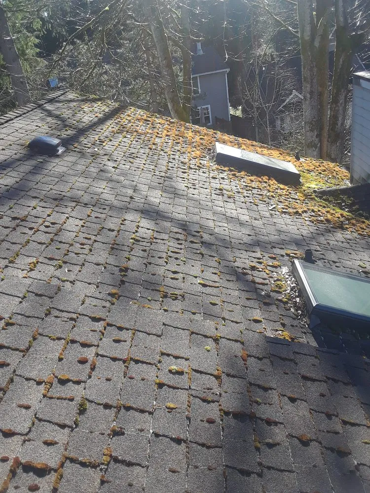 Slide of All Access Roofing & Gutters