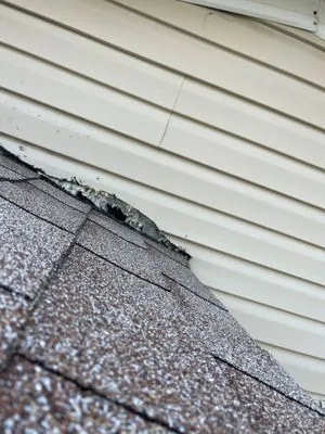 All America Construction Services