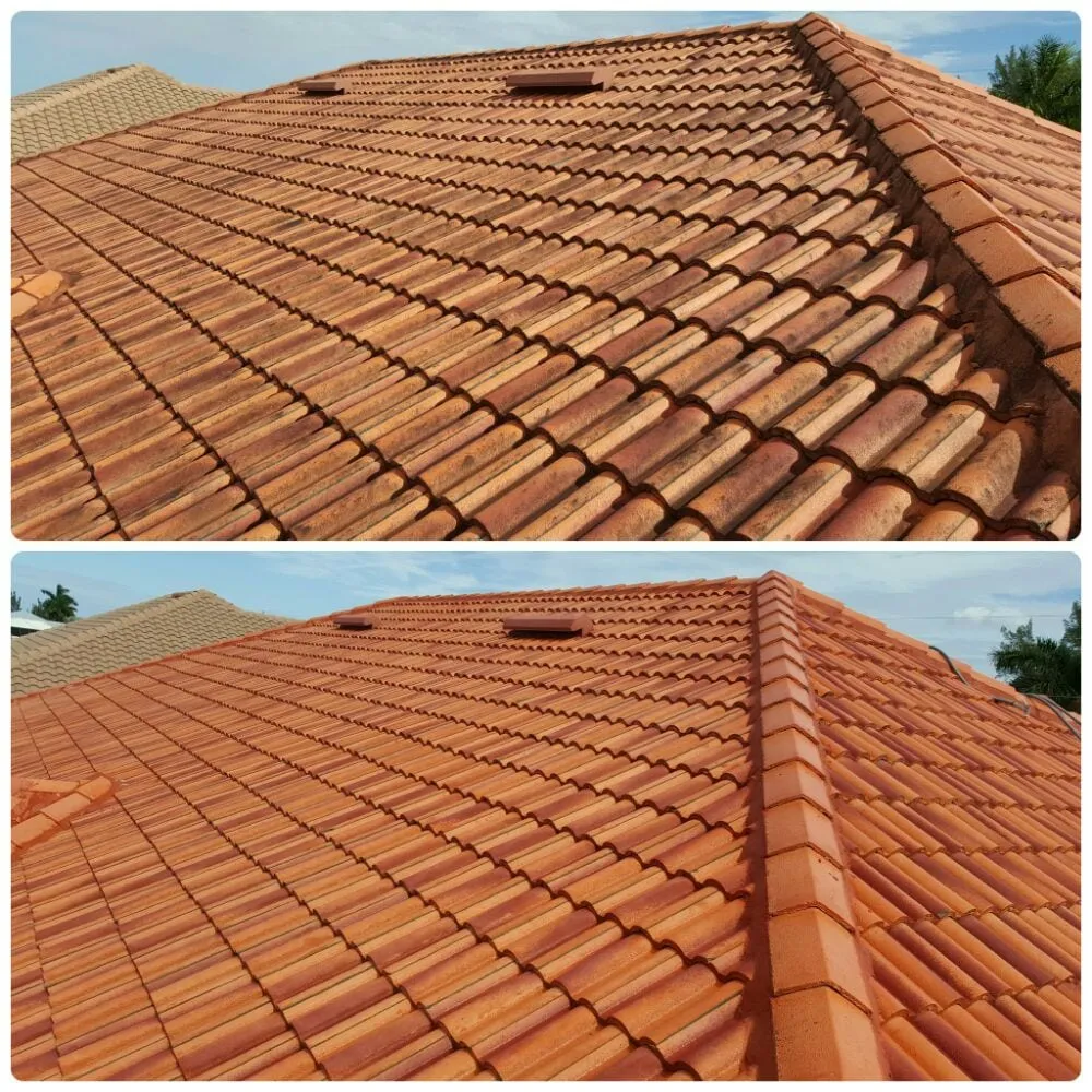 Slide of All American Roof Cleaning