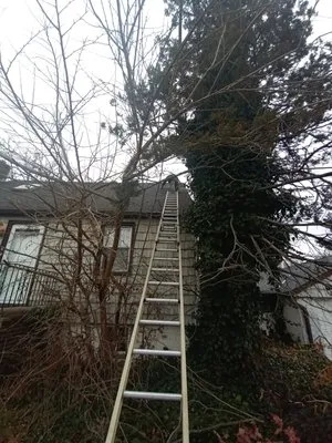 All American Roofing & Construction