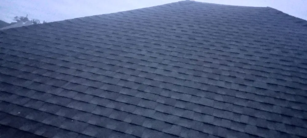 Slide of All Areas Around Everything