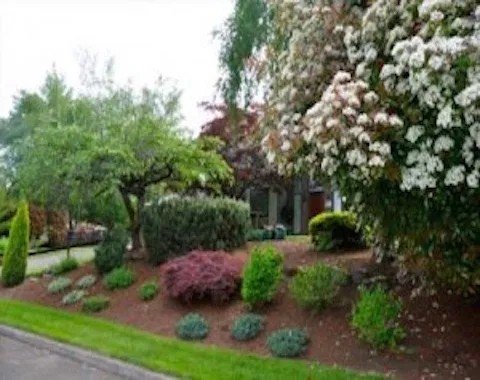 Slide of All Around Maintenance