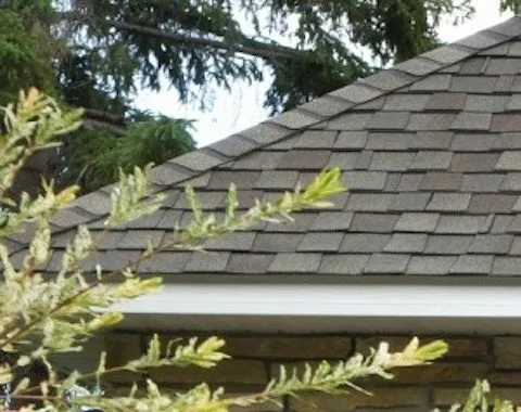 Slide of All Around Maintenance