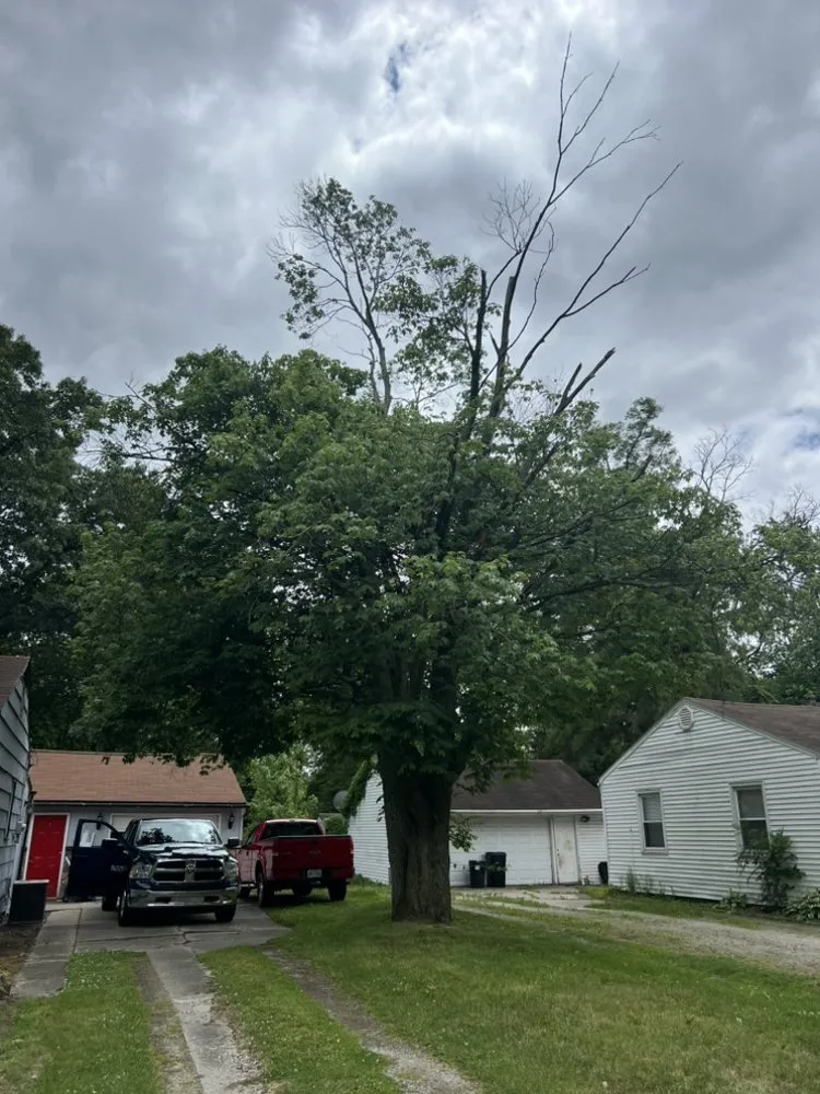 Slide of All Aspects