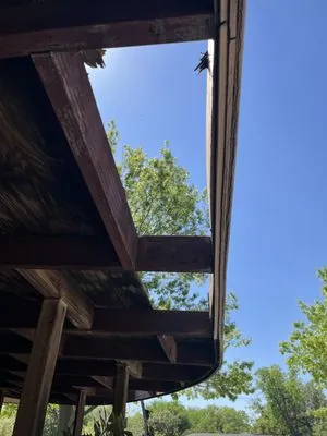 All complete contract