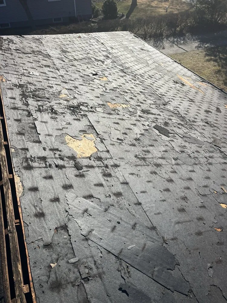 Slide of All Elements Roofing