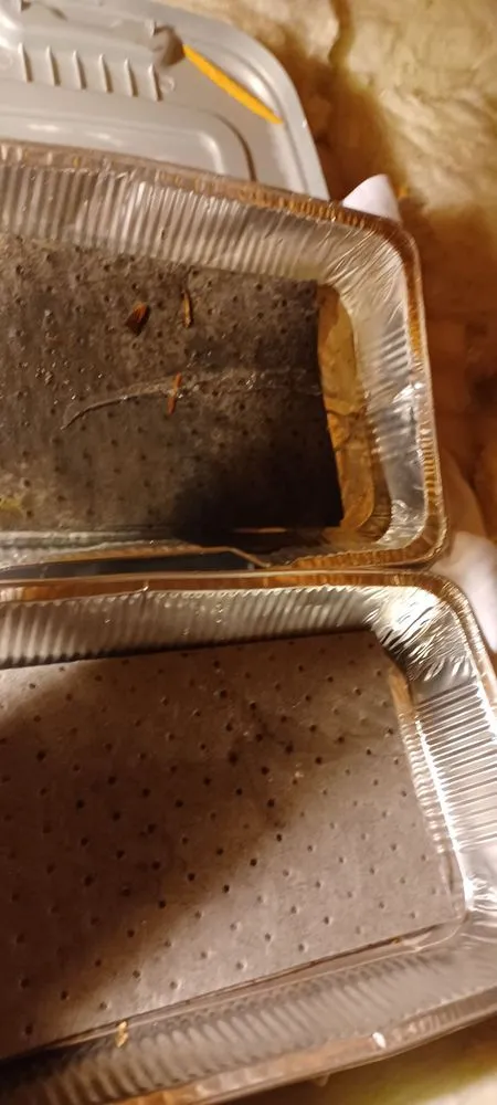 Slide of All Exterior Professionals