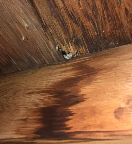 Slide of All Exteriors