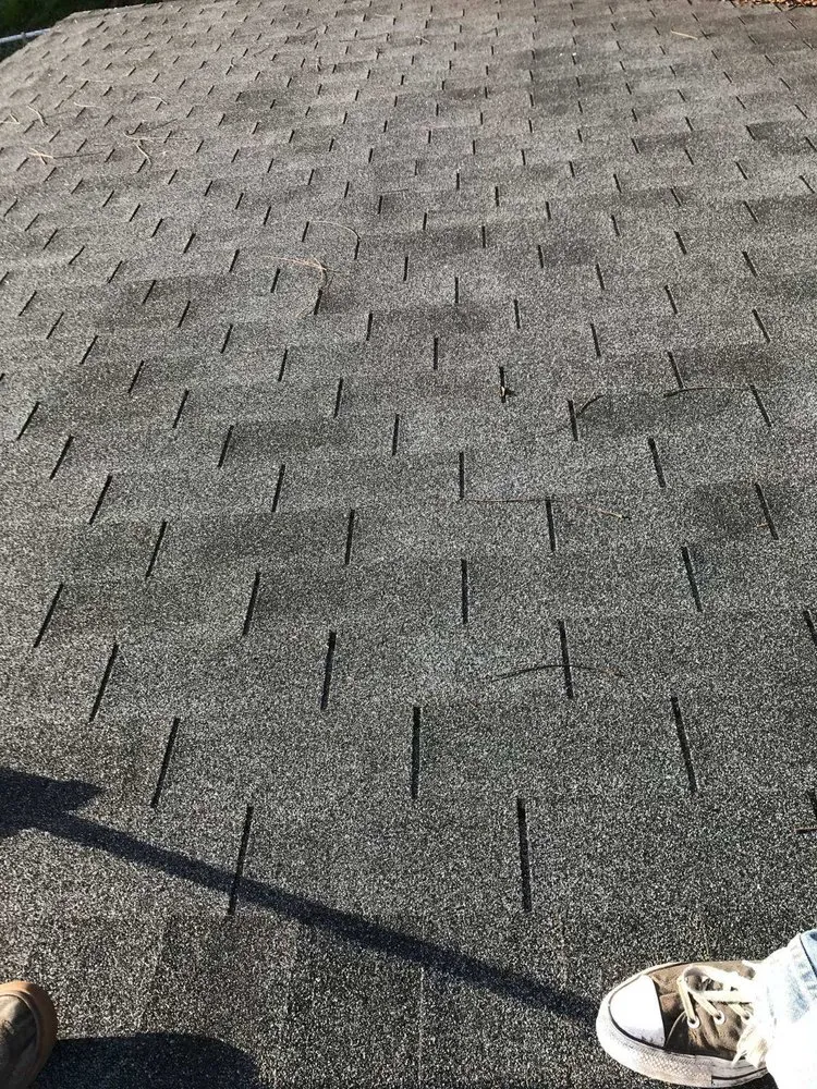 Slide of All Gone Moss Removal