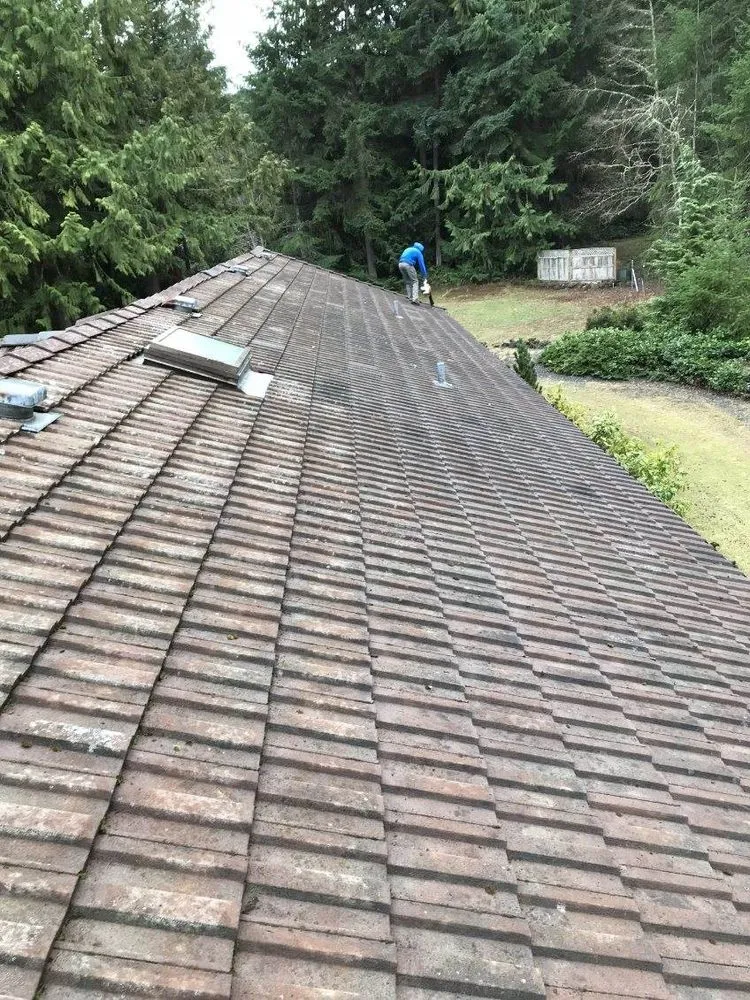 Slide of All Gone Moss Removal