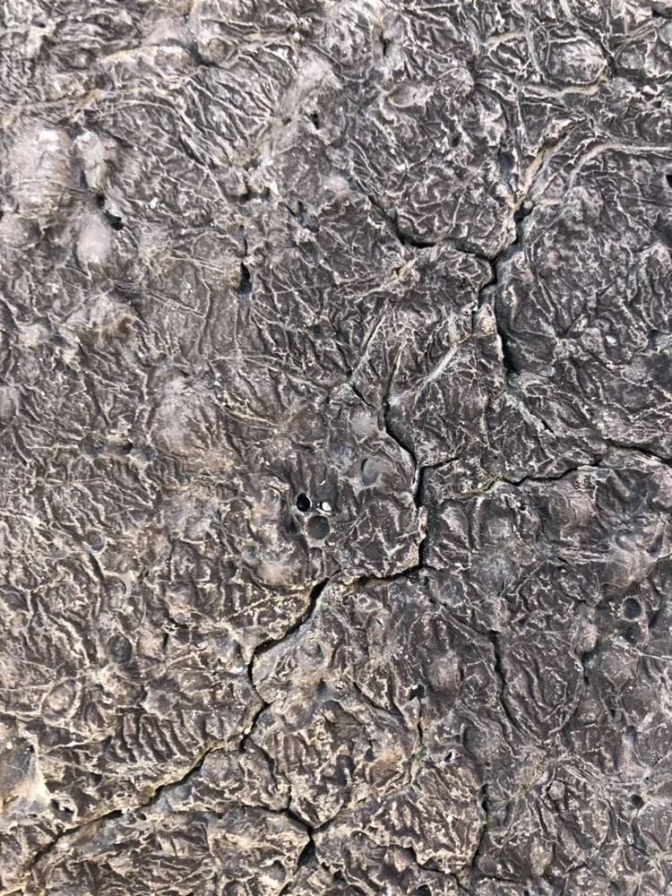 Slide of All Home Repairs