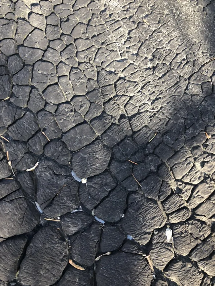 Slide of All Home Repairs