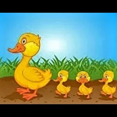 Slide of All in a Row Roofing