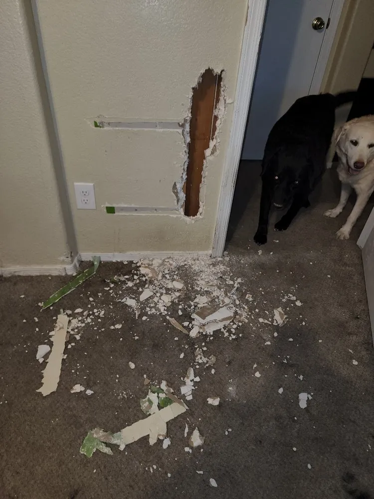 Slide of All In One Contracting