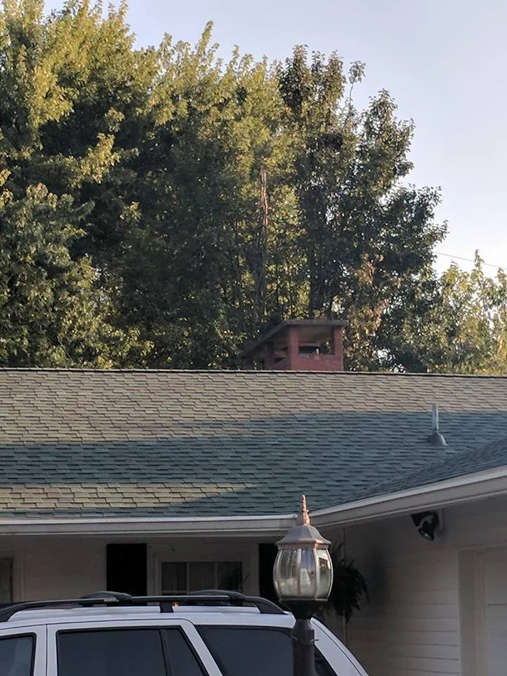 Slide of ALL N 1 Roofing & Home Repairs