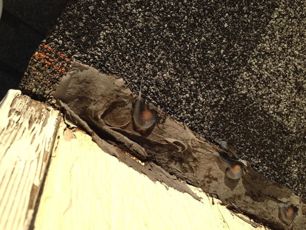 Slide of All Phase Residential construction Llc.