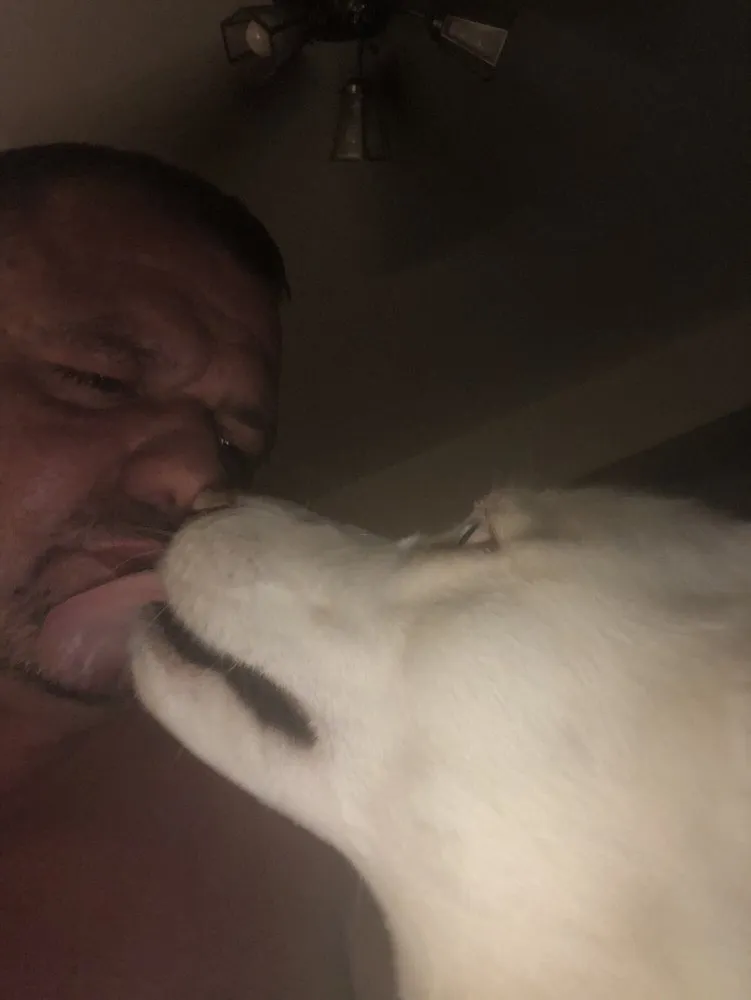 Slide of All Pro Renovations