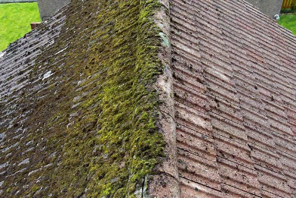 Slide of All Pro Washing