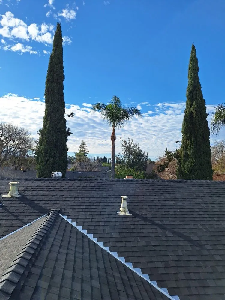 Slide of All Purpose Construction