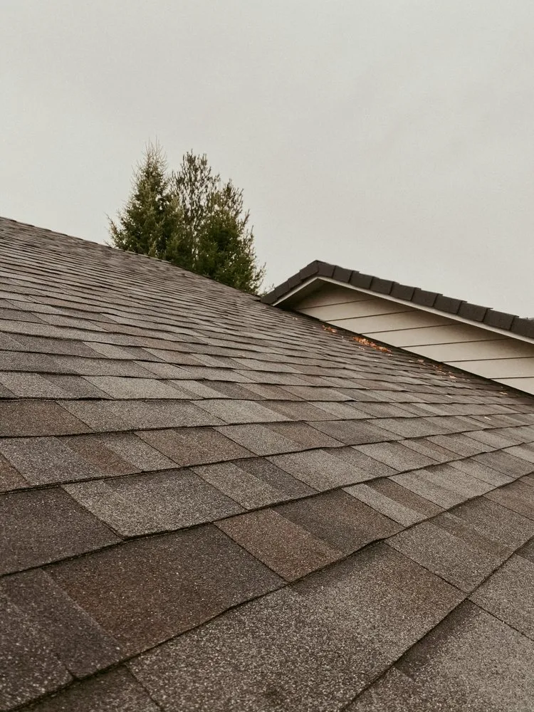 Slide of All Roofs + Inspections