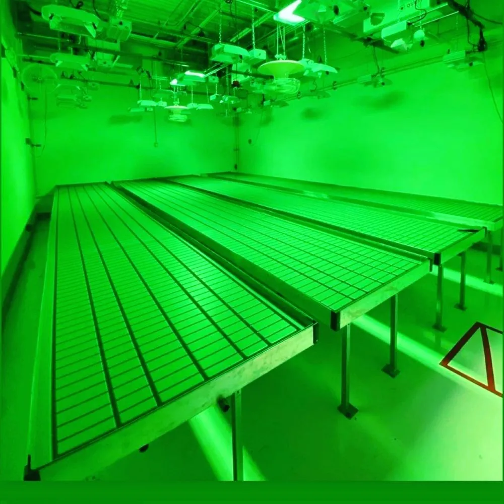 Slide of All Season Handyman