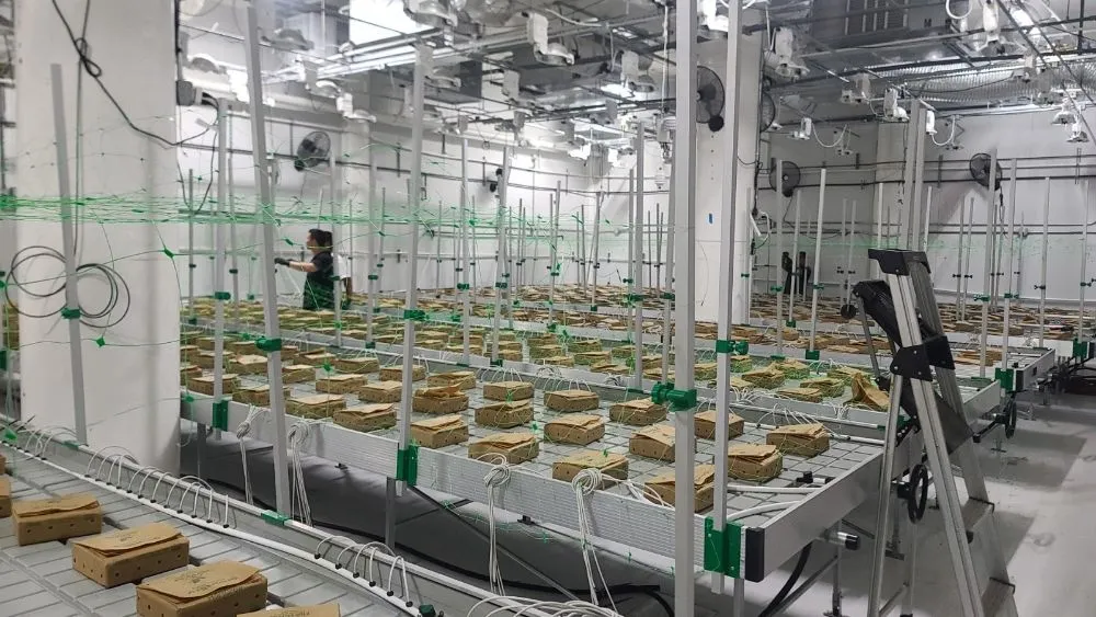 Slide of All Season Handyman