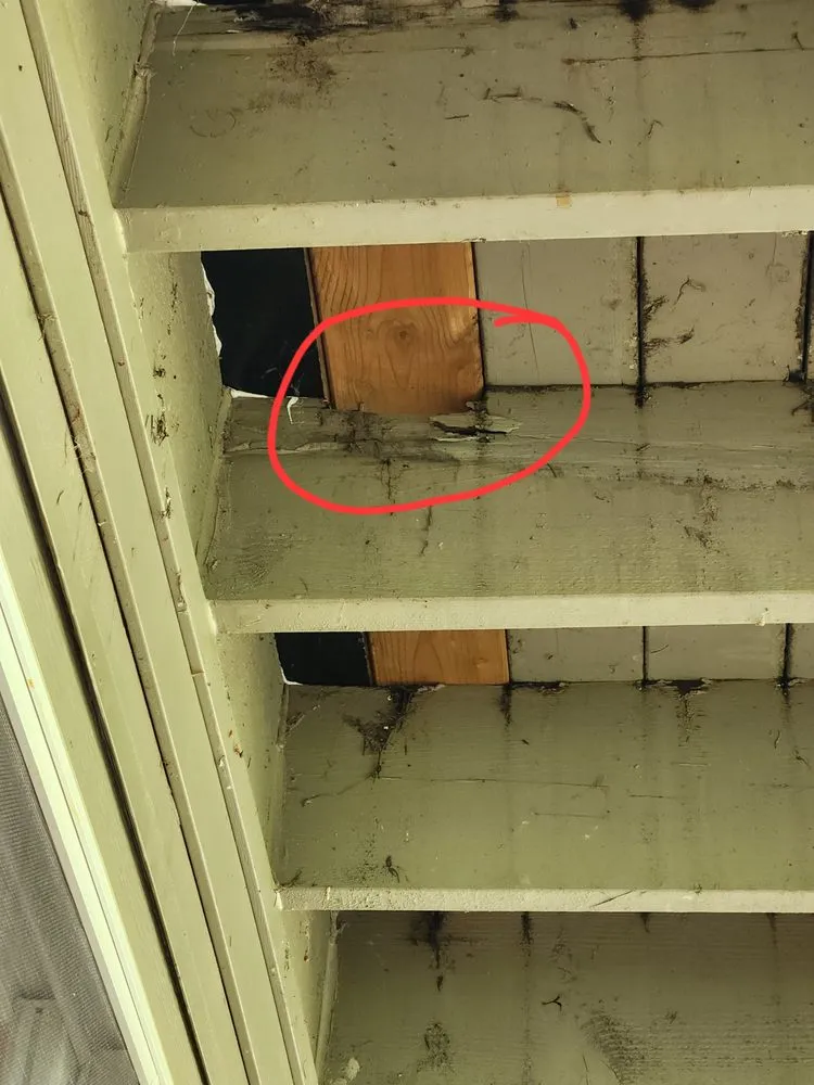 Slide of All Season Windows