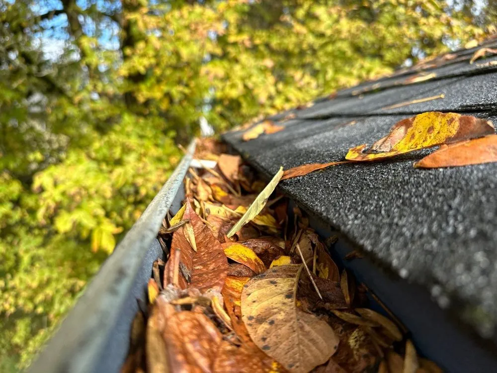 Slide of All Seasons Cleaning Services