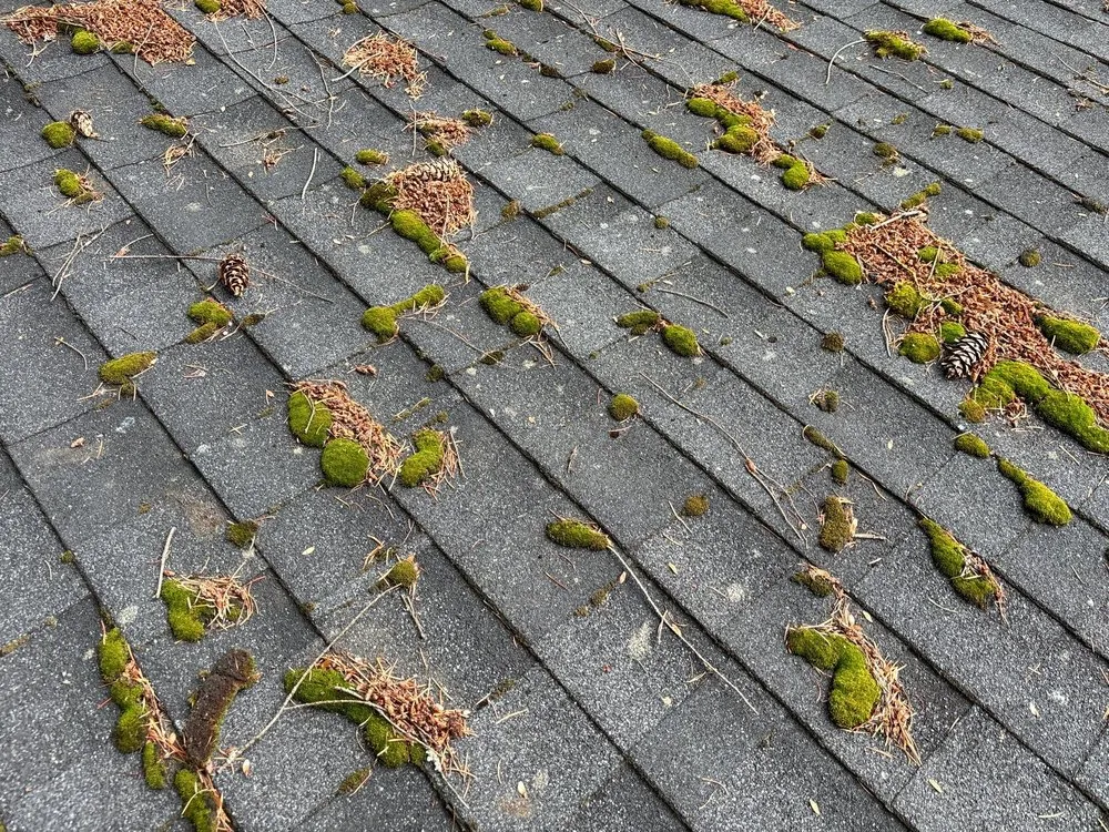 Slide of All Seasons Cleaning Services