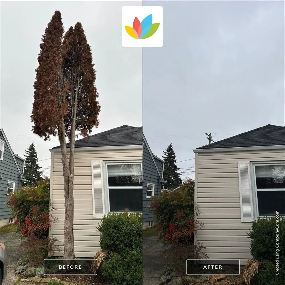 Slide of All Seasons Cleaning Services