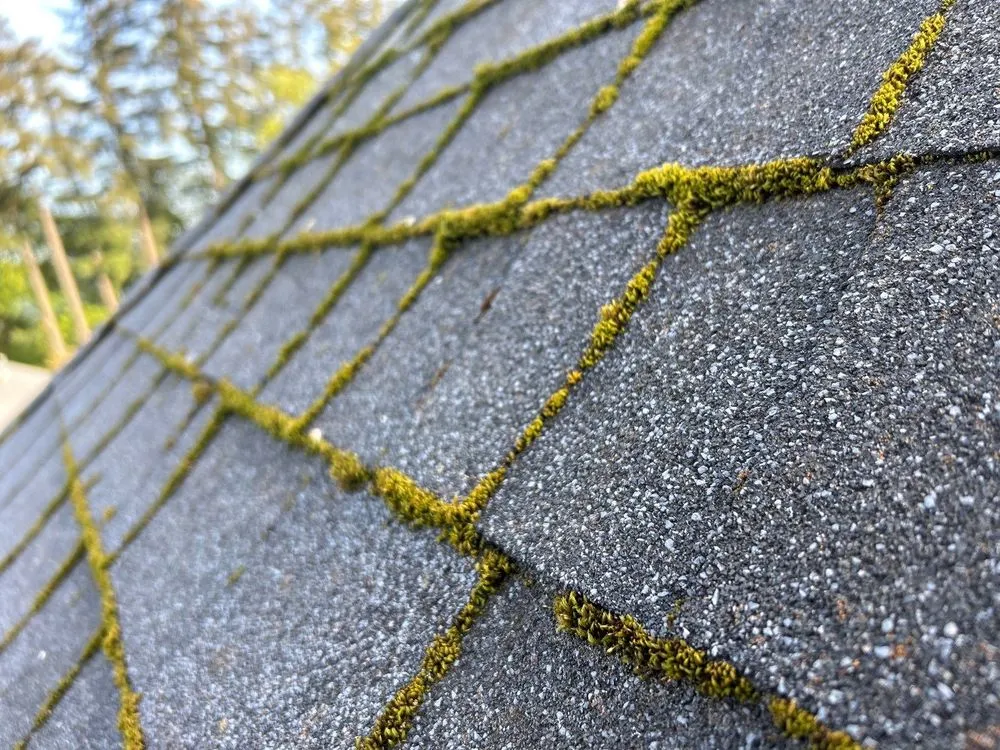 Slide of All Seasons Cleaning Services