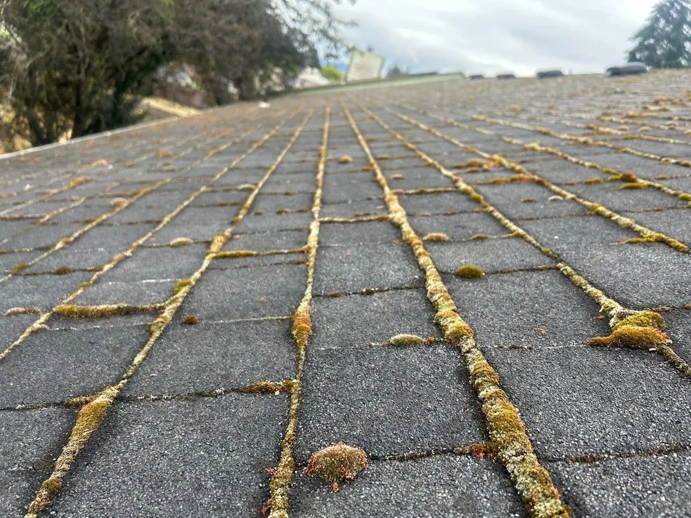 Slide of All Seasons Cleaning Services