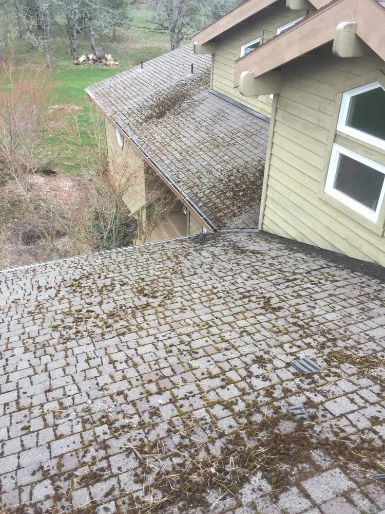 Slide of All Seasons Roofing & Painting