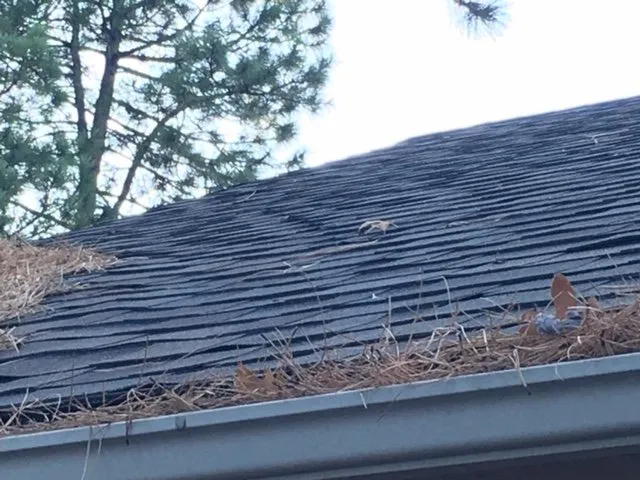 Slide of All Seasons Roofing