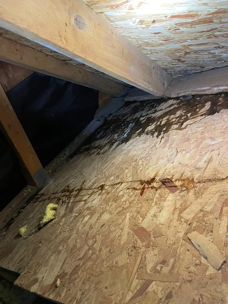 Slide of All Seattle Roofing