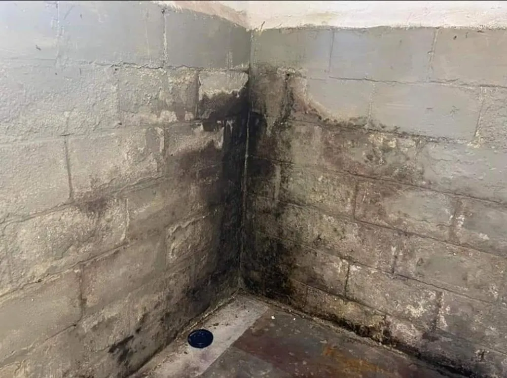 Slide of All Star Masonry