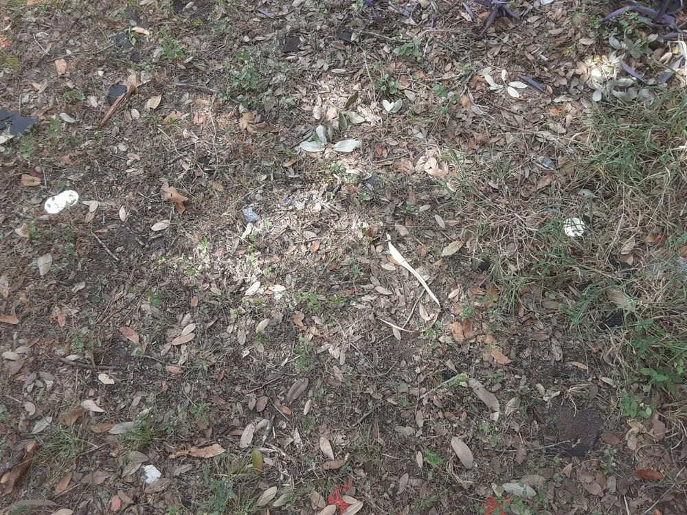 Slide of All-Star Roofing & Construction