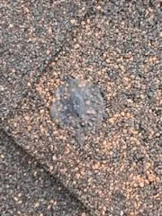 Slide of All Star Seamless Gutters