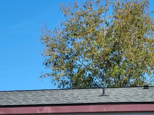 All Storm Roofing Logo